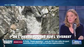 Objectif Terre : De l'herbe pousse sur l'Everest - 13/01