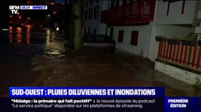 Crues dans les Pyrénées-Atlantiques: les rues de Cambo-les-Bains sous les eaux 