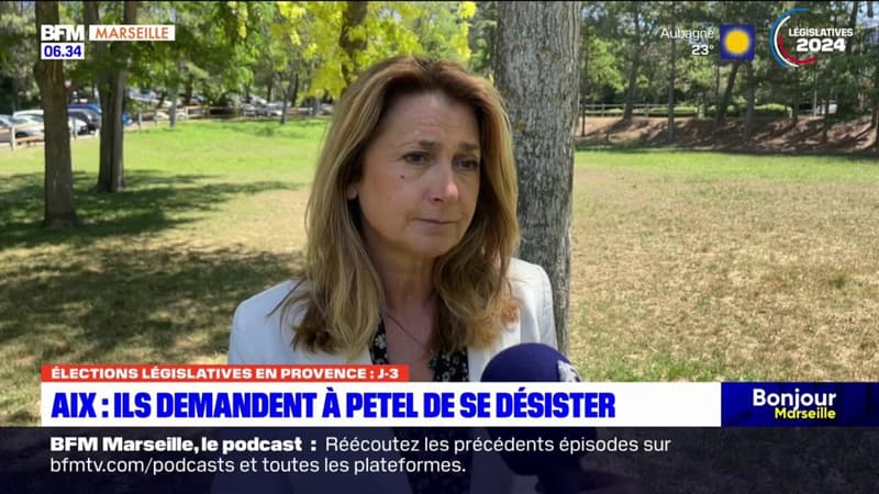 Regarder la vidéo Législatives: mobilisation pour demander le retrait d'Anne-Laurence Petel dans les Bouches-du-Rhône