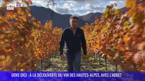 GENS DICI : à la découverte du vin des Hautes-Alpes, avec l'ADDET