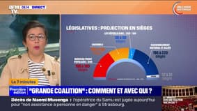 "Grande coalition" : comment et avec qui ? - 04/07