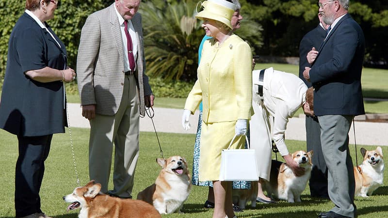 La reine en visite officielle en Australie, en 2002, rencontre un club de corgis d'Adelaïde.