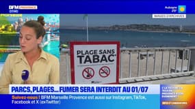 Parcs, plages ... fumer sera interdit au 01/07
