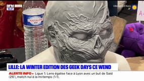 Lille: la winter edition des Geek Days organisée ce week-end au grand palais