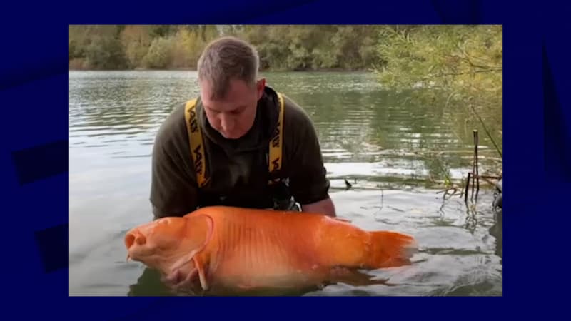 Andy Hackett a pêché un poisson rouge de plus de 30 kg