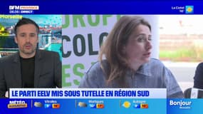 Provence-Alpes-Côte d'Azur: la fédération régionale d'EELV mise sous tutelle