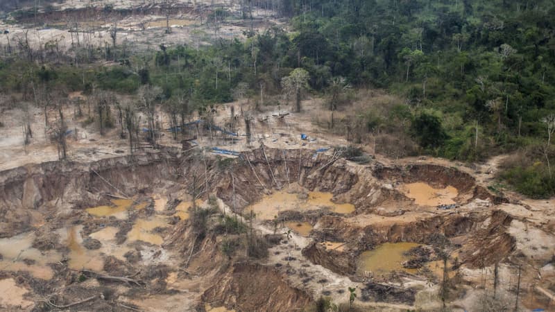 Une mine d'or illégale dans la région de Madre de Dios, dans le sud du Pérou