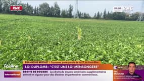 Loi Duplomb : "C'est une loi mensongère" 