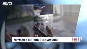 Drogba, Evra, Neymar... L'actu Sport.Net du 21 mai 2018