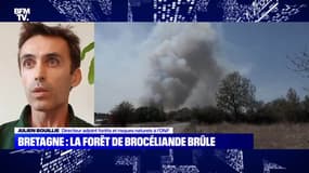 Bretagne : La forêt de Brocéliande brûle - 12/08