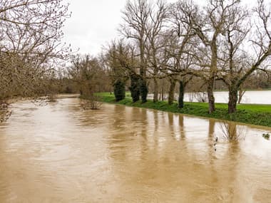 Des arbres se dressent dans les eaux brunes en crue rapide alors que la rivière déborde après la tempête Nils, Fleurance, dans le Gers, le 12 février 2026.