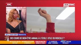 Sensibiliser au bien-être animal à l'école. Utile ou ridicule ? "Il y a 10 millions de choses qui feront du bien à un enfant à l'école." 