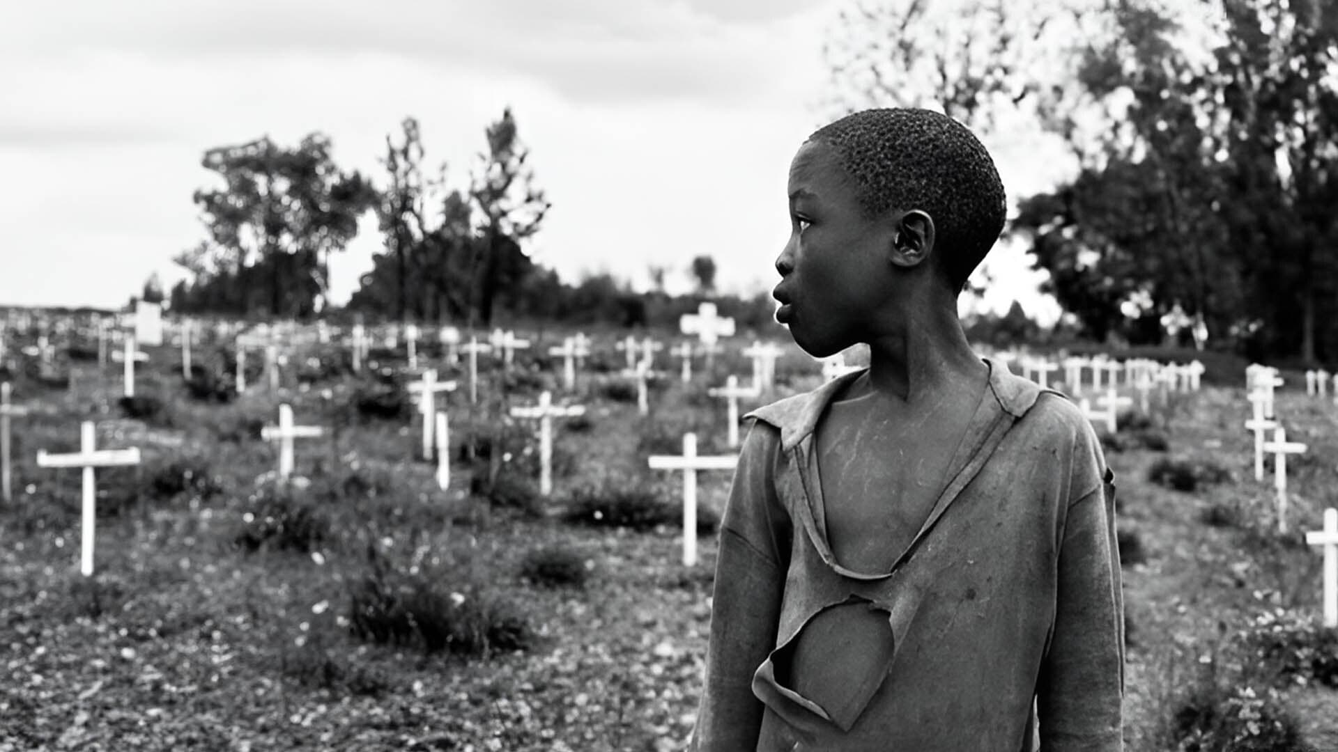 Rwanda 1994, la France face au génocide des Tutsi