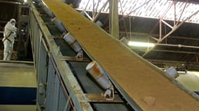 Dix ans après le scandale de la vache folle, la Commission européenne autorise l'utilisation des farines animales dans l'alimentation des poissons