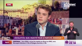 Législatives: "On a en face de nous des gens qui détestent la France"affirme Stanislas Rigault, président de Génération Z