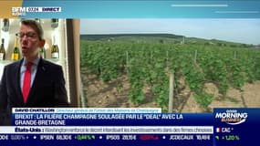 David Chatillon: pour la filière champagne française, "un grand nombre" d'inquiétudes sont dissipées avec l'accord commercial sur le brexit