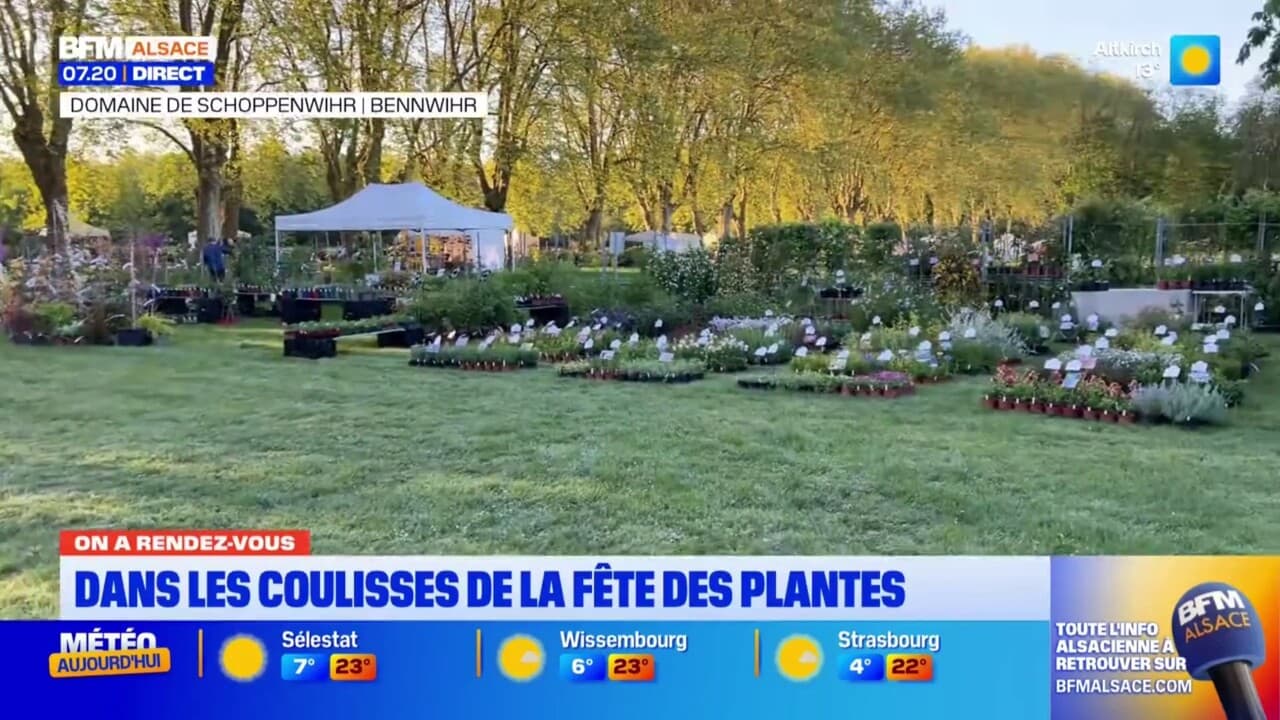 On A Rendez-Vous: dans les coulisses de la fte des plantes de Schoppenwihr