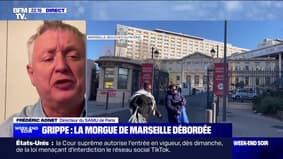 Épidémie de grippe: "Nous sommes très proches du sommet"pour Frédéric Adnet (SAMU Paris)