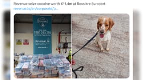 La police irlandaise a saisi 163 kg de cocaïne en provenance du port de Cherbourg-en-Cotentin le jeudi 13 juillet. 