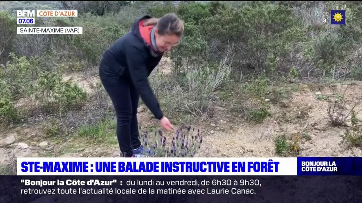 placeholder video