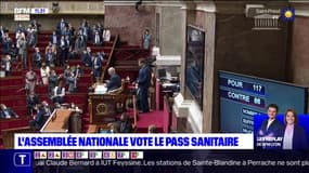 Pass sanitaire: l'Assemblée nationale vote pour le pass sanitaire