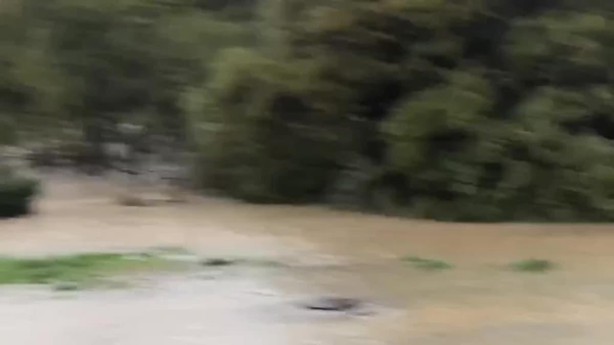 placeholder video