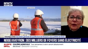 Neige dans l'Aveyron: "9.000 foyers sont toujours sans électricité", déclare Véronique Ortet, sous-préfète de Rodez