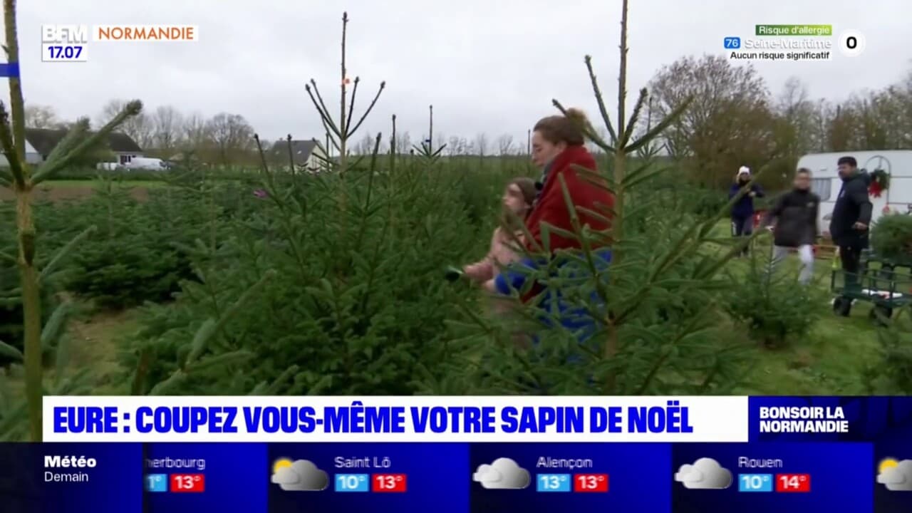 Eure coupez vousmême votre sapin de Noël