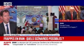 "Je souhaite que le régime iranien tombe", déclare François-Xavier Bellamy 