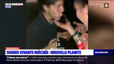 Marseille: une nouvelle plainte déposée envers l'étudiant qui a mâché une souris vivante