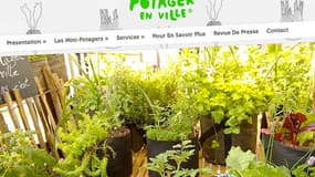 Nature et Potager en ville a été lancé en 2013.