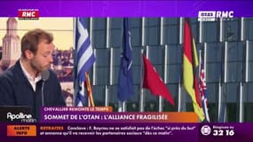 Sommet de l'Otan : l'alliance fragilisée
