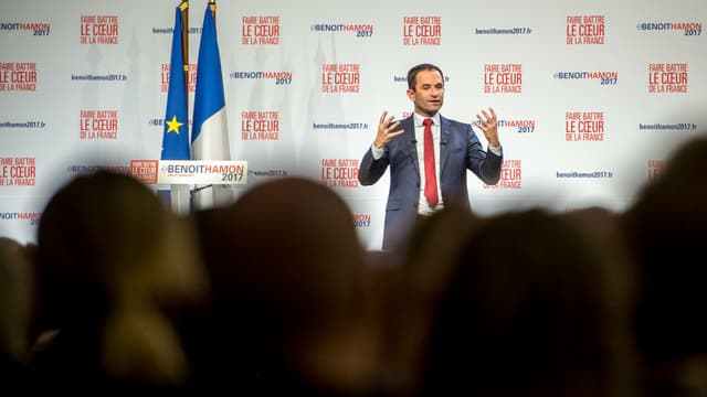 Benoît Hamon lors d'un meeting à Lille le 27 janvier 2017