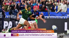 Coupe du monde: il a manqué si peu aux Bleus