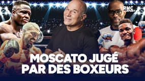 "On reconnait le passionné de boxe"... Moscato enfile les gants et se fait noter par des experts
