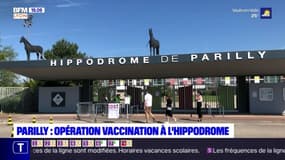Parilly : opération vaccination à l'hippodrome