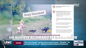 #Magnien, la chronique des réseaux sociaux : Un nudiste allemand et un sanglier - 10/08