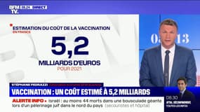 Le coût de la vaccination en France est estimé à 5,2 milliards d'euros