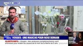 Vosges: a "pink march" in tribute to the little Rose planned this Saturday in Rambervillers