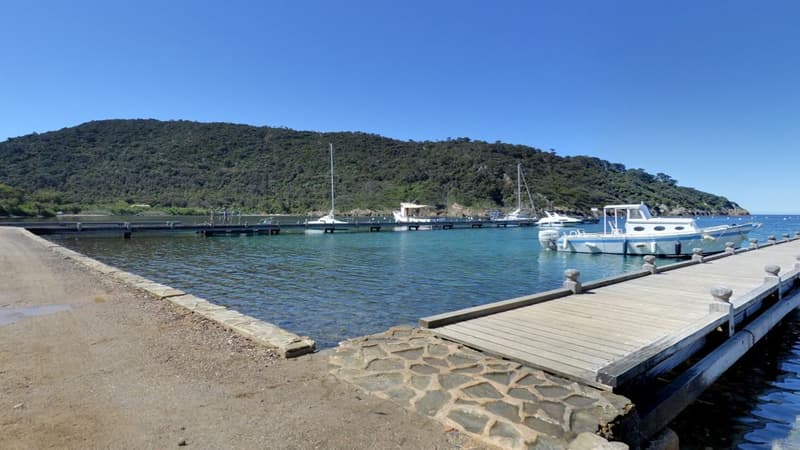 L'Île de Port-Cros - Image d'illustration