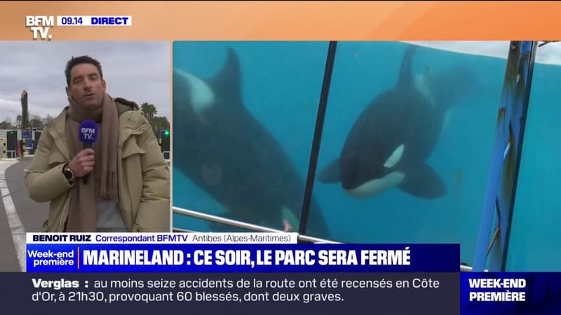 Le parc Marineland ferme ses portes définitivement ce dimanche soir