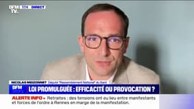 Promulgation de la réforme des retraites: "Ce qu'ils veulent, c'est que les Français passent à autre chose", affirme Nicolas Meizonnet (RN)