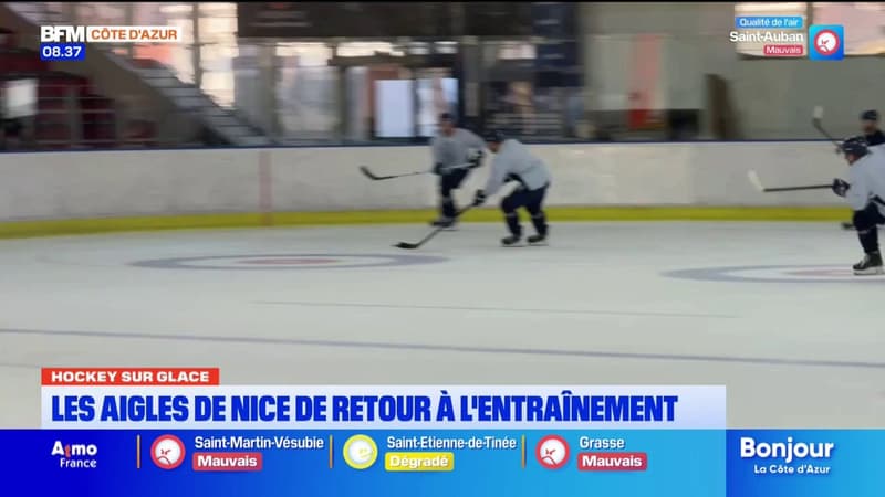 Des grandes ambitions pour les Aigles de Nice à l'aube d'une nouvelle saison qui approche