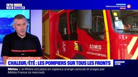 Les pompiers du Rhône prêts à affronter des incendies durant l'été