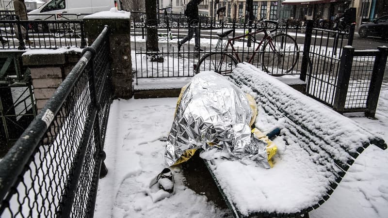 L'Ile-de-France active le plan "grand froid" 