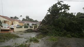 Une rue de Miami, en Floride