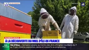 À la découverte du miel d'Ile-de-France avec deux apiculteurs basés en Seine-et-Marne