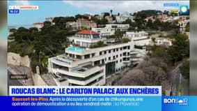 Marseille :Le Carlton Palace mis aux enchères 
