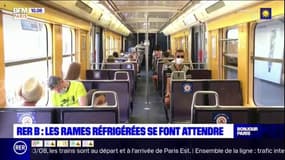 RER B: les rames réfrigérées se font attendre