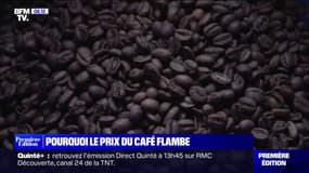 Pourquoi est-ce-que le prix du café augmente ? 